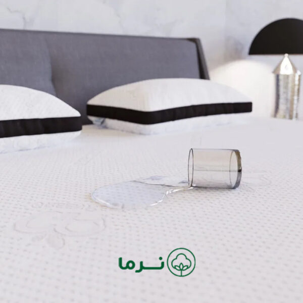 محافظ تشک