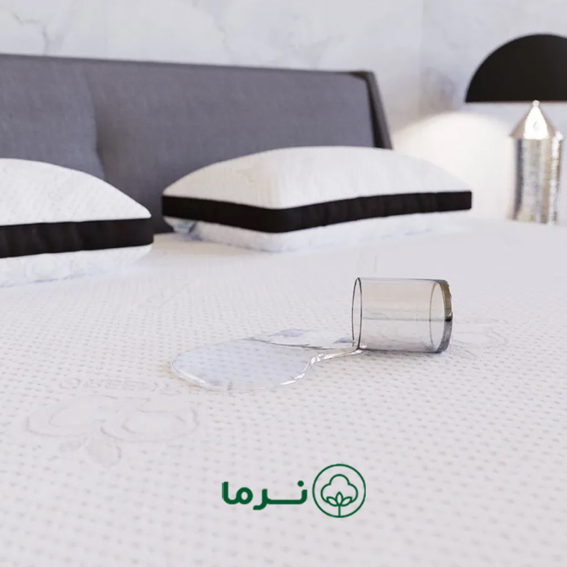 محافظ تشک